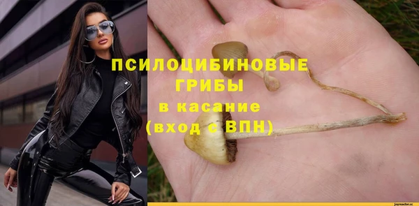 винт Богданович