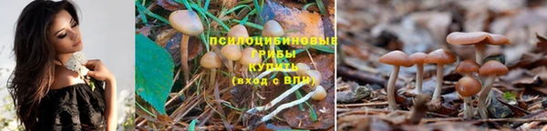 каннабис Богородск