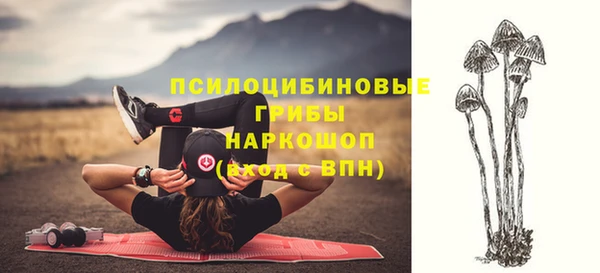 каннабис Богородицк
