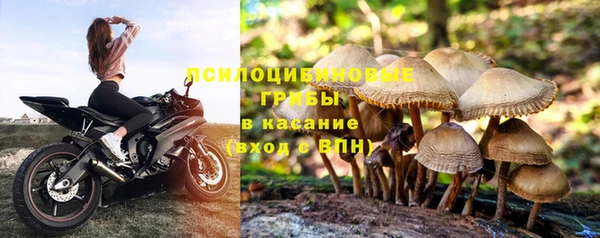 винт Богданович