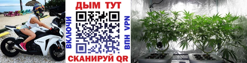 Бошки Шишки OG Kush  Краснокаменск 